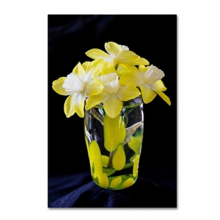 Kurt Shaffer 'Vase Of Little Daffodils' Canvas Art,12x19